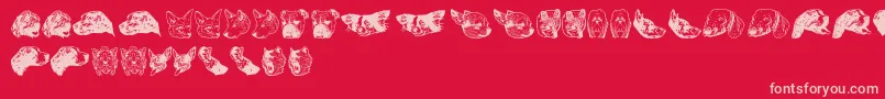DoggyprintAoe Font – Pink Fonts on Red Background