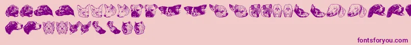 DoggyprintAoe Font – Purple Fonts on Pink Background