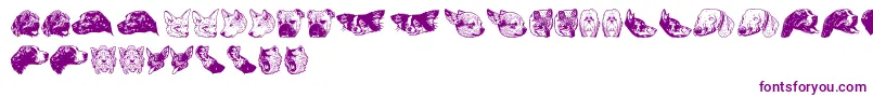 DoggyprintAoe-Schriftart – Violette Schriften auf weißem Hintergrund