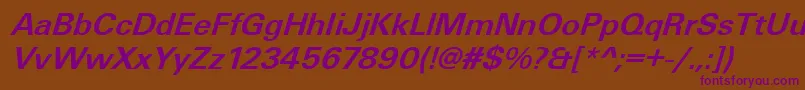 UniqueLightBolditalic Font – Purple Fonts on Brown Background