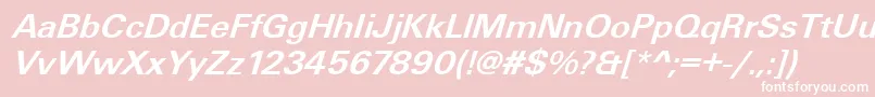 UniqueLightBolditalic Font – White Fonts on Pink Background