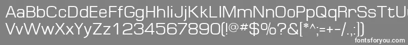 フォントMinimaSsi – 灰色の背景に白い文字