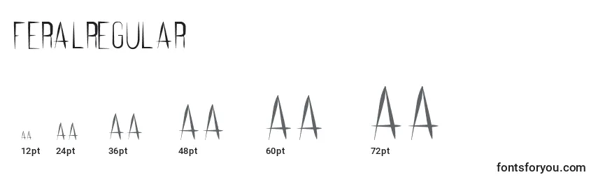 FeralRegular Font Sizes