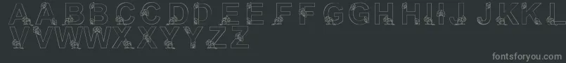 LmsNutsAboutSquirrels Font – Gray Fonts on Black Background