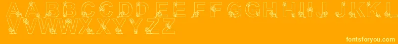 LmsNutsAboutSquirrels Font – Yellow Fonts on Orange Background