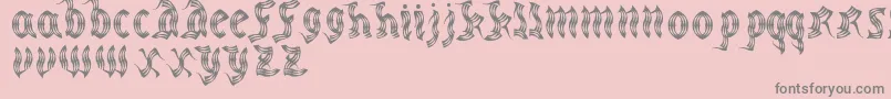 MedievalpartyRegular Font – Gray Fonts on Pink Background