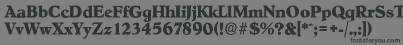 Шрифт HobokenserialXboldRegular – чёрные шрифты на сером фоне