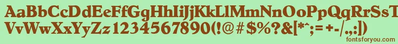 HobokenserialXboldRegular Font – Brown Fonts on Green Background