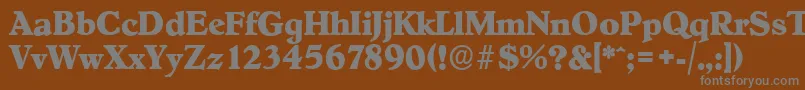 Czcionka HobokenserialXboldRegular – szare czcionki na brązowym tle