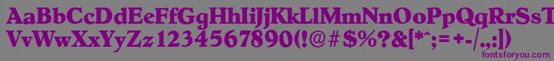 フォントHobokenserialXboldRegular – 紫色のフォント、灰色の背景