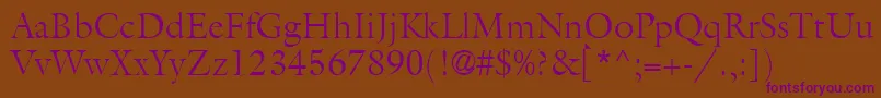 AcanthusLightSsiLight Font – Purple Fonts on Brown Background