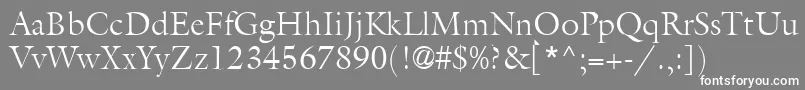 AcanthusLightSsiLight Font – White Fonts on Gray Background