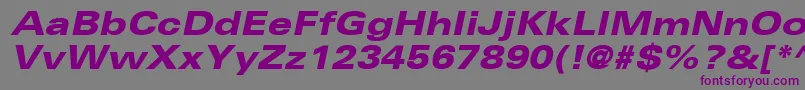 NovaBlackExpandedSsiExtraBoldExpandedItalic-fontti – violetit fontit harmaalla taustalla