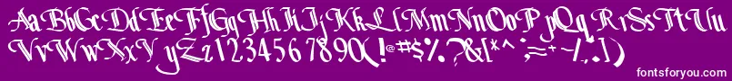 Bottomoutone104RegularTtcon Font – White Fonts on Purple Background