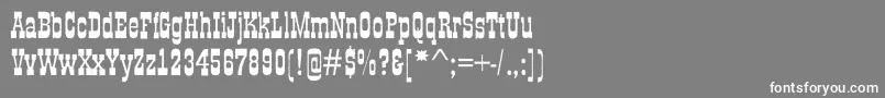 フォントGildiaroughBold – 灰色の背景に白い文字