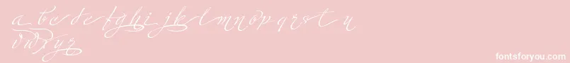 MinistryScriptContextualHff-Schriftart – Weiße Schriften auf rosa Hintergrund