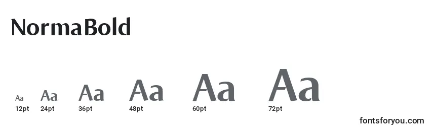 NormaBold Font Sizes