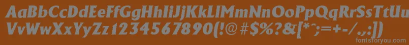 AdelonserialHeavyItalic-Schriftart – Graue Schriften auf braunem Hintergrund