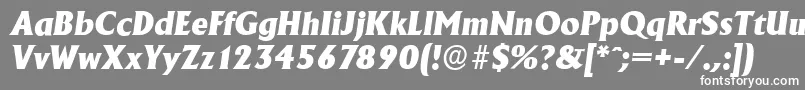 フォントAdelonserialHeavyItalic – 灰色の背景に白い文字