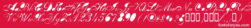 Breastbomb Font – White Fonts on Red Background