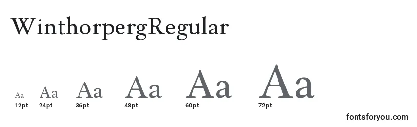 WinthorpergRegular Font Sizes