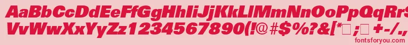 MercatDisplaySsiItalic Font – Red Fonts on Pink Background