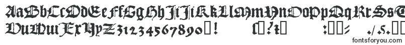 1492QuadrataLim Font – Fonts Starting with 1
