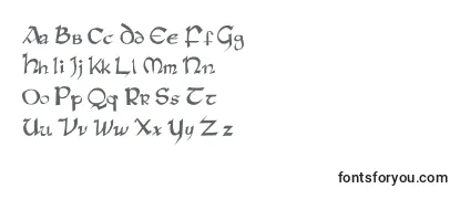 Обзор шрифта Raneinsular