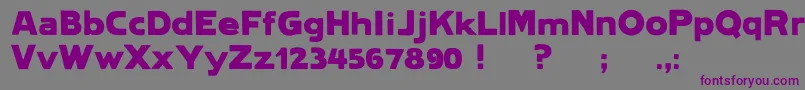 Lietzlindauhamburg Font – Purple Fonts on Gray Background