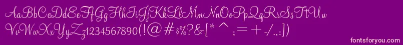 MontereyBt Font – Pink Fonts on Purple Background