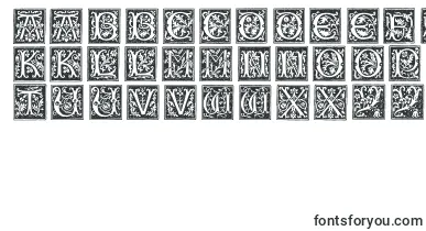 Typographerwoodcutinitialsone font – Fonts Flowers