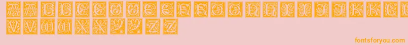 Typographerwoodcutinitialsone Font – Orange Fonts on Pink Background