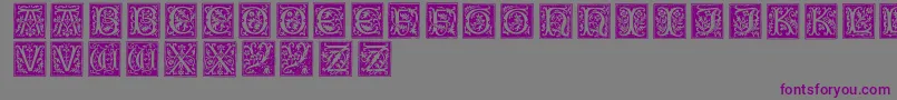 Typographerwoodcutinitialsone Font – Purple Fonts on Gray Background