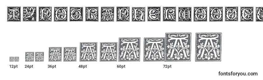 Размеры шрифта Typographerwoodcutinitialsone