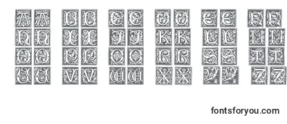 Czcionka Typographerwoodcutinitialsone