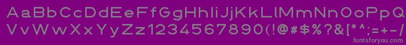Din145136breit Font – Gray Fonts on Purple Background