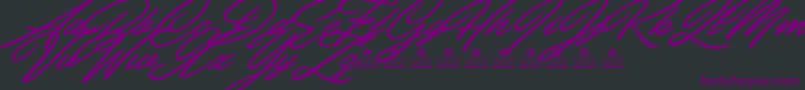 CarolinaHillsPersonalUse Font – Purple Fonts on Black Background
