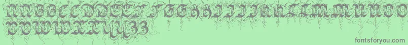 Sarabandinitials Font – Gray Fonts on Green Background