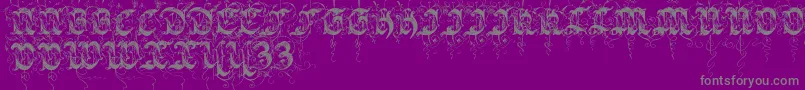 Sarabandinitials-Schriftart – Graue Schriften auf violettem Hintergrund