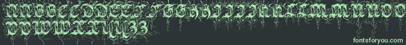 Sarabandinitials Font – Green Fonts on Black Background