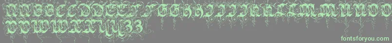 Sarabandinitials Font – Green Fonts on Gray Background