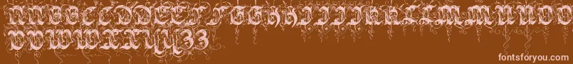 Sarabandinitials Font – Pink Fonts on Brown Background