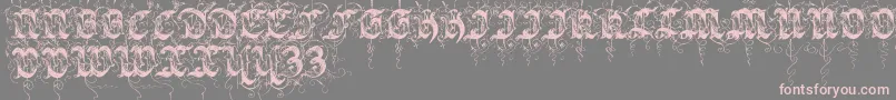 Sarabandinitials-Schriftart – Rosa Schriften auf grauem Hintergrund