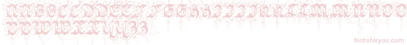 Sarabandinitials Font – Pink Fonts on White Background