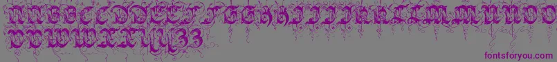 Sarabandinitials Font – Purple Fonts on Gray Background