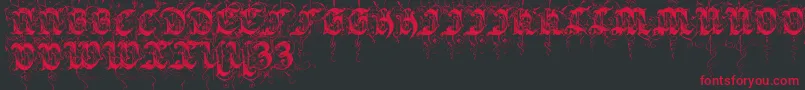 Sarabandinitials Font – Red Fonts on Black Background