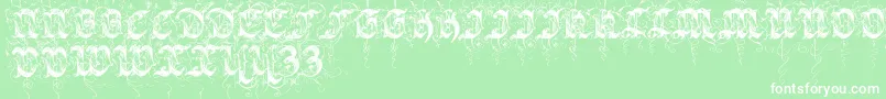 Sarabandinitials Font – White Fonts on Green Background