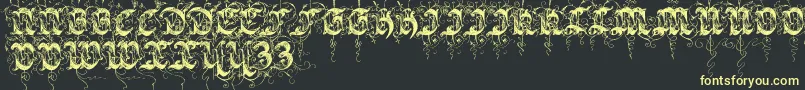 Sarabandinitials Font – Yellow Fonts on Black Background