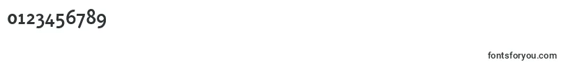 OtariMedium-Schriftart – Schriften für Zahlen und Nummern