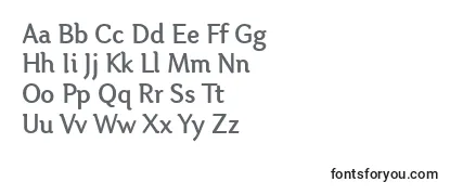 OtariMedium Font